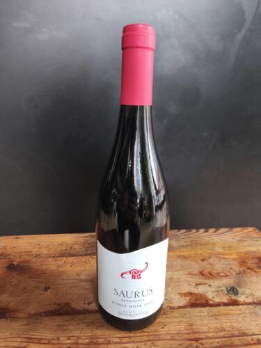 Familia Scroeder Saurus Select Pinot Noir 2024