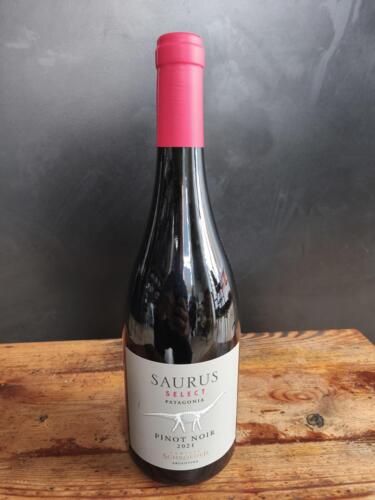 Familia Scroeder Saurus Pinot Noir 2021