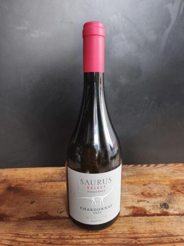 Familia Scroeder Saurus Select Chardonnay 2023